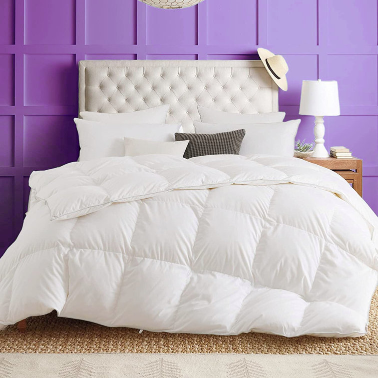 Winter feather outlet duvet